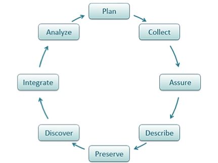 Typical life-cycle model from DataONE