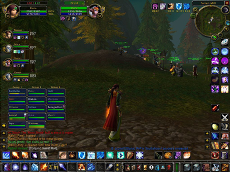 Figure 2: Interface of the World of Warcraft game