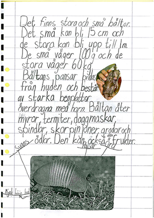 Figure 6: A page from a booklet on armadillos.