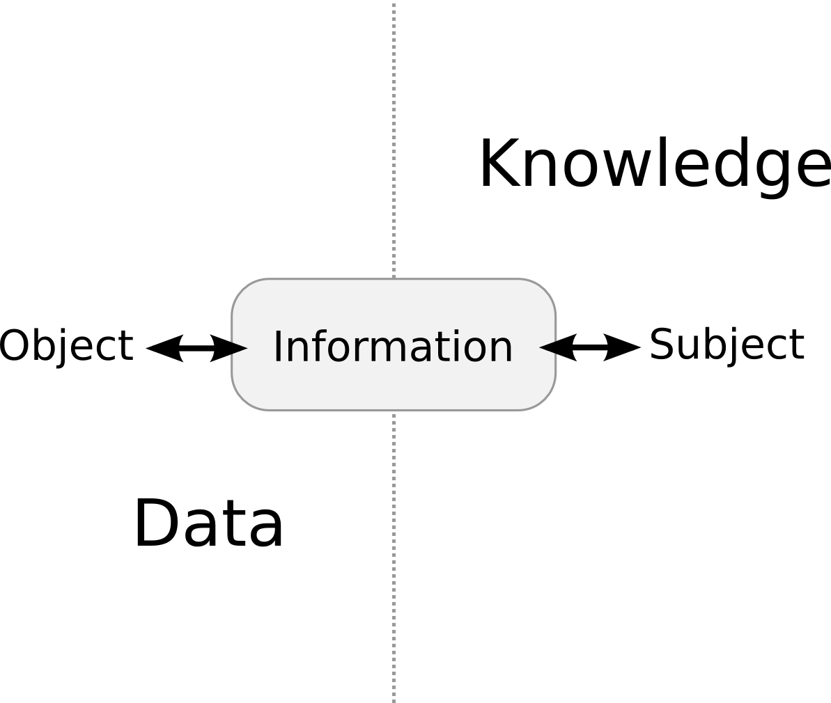 Information as object and subject