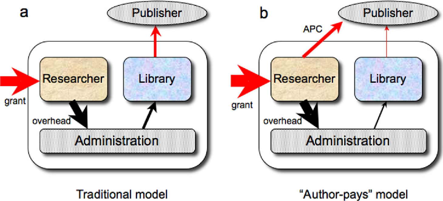 Figure 1: Dynamics of publishing