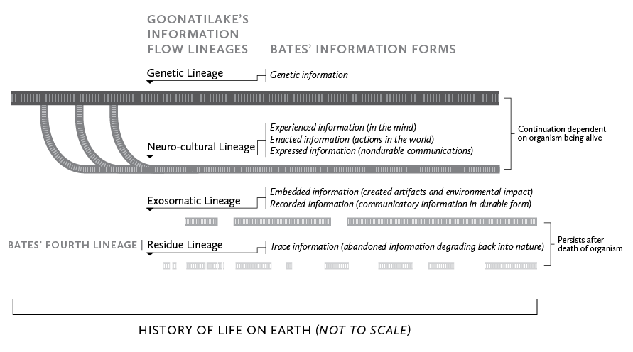Figure 5: Information flow lineages (Goonatilake) and information forms (Bates, 2006).