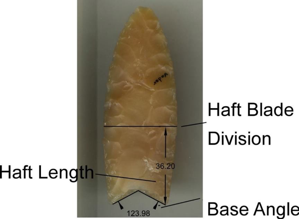 Figure. 1: Example of Clovis Point and the type of measurements that can be taken on a digital image