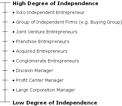 Figure 1 Degree of independence of various entrepreneur types