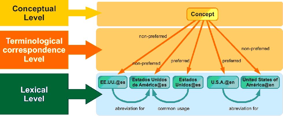 Independence of conceptual levels and adjustment of lexical levels to multilingual structures
