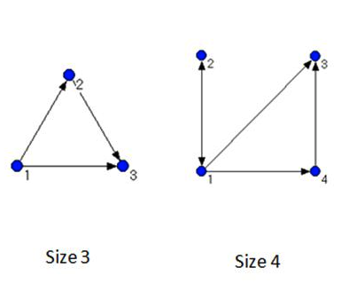 Figure 4.  Examples of size 3 and size 4 network motifs.