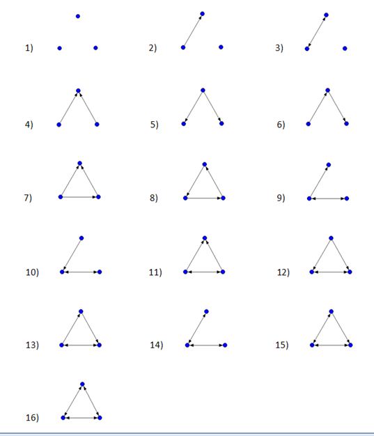 Figure 6.  The sixteen possible network motif patterns.