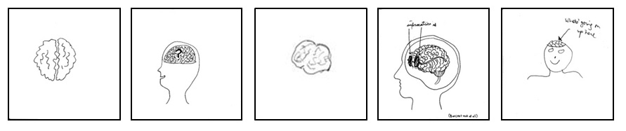 Appearances of the brain in the ibSquares.