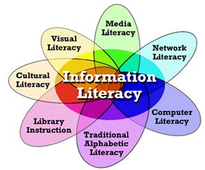 Figura 4: Representación de la alfabetización informacional como centro
