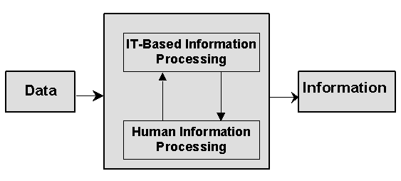 Figure 6: An IS model incorporating both systematic (IT-based) and chaotic (human) information processing.