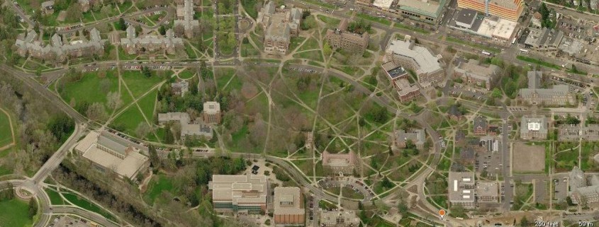 Figure 2: Aerial view of Michigan State University